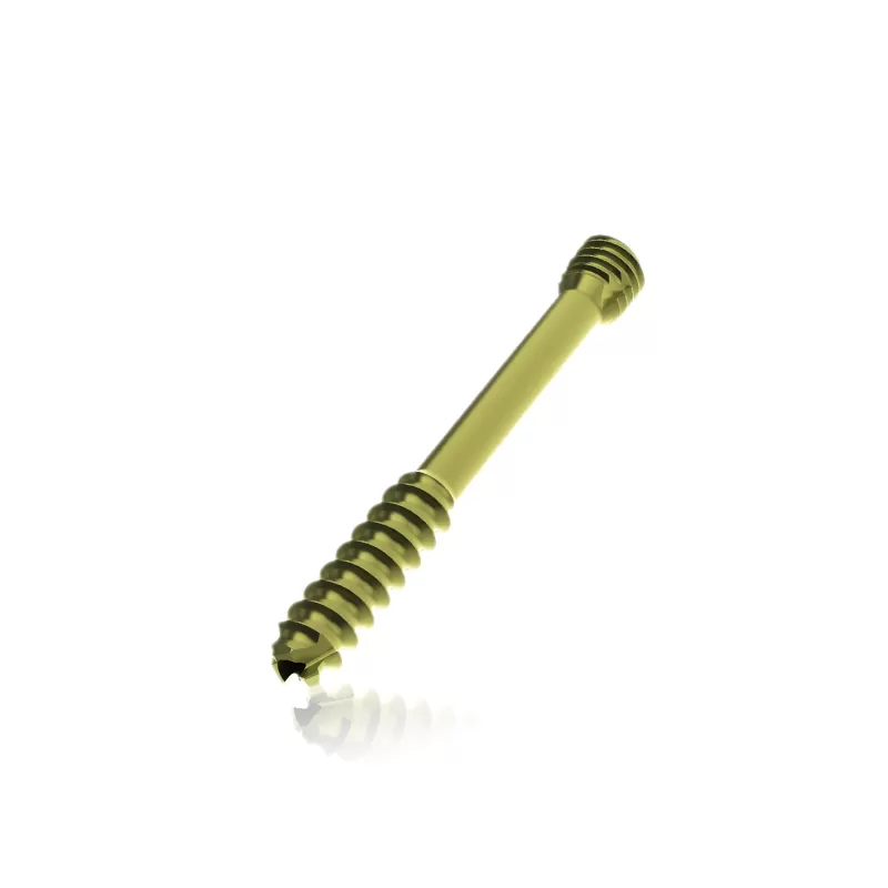 Double-headed Cannulated Screw