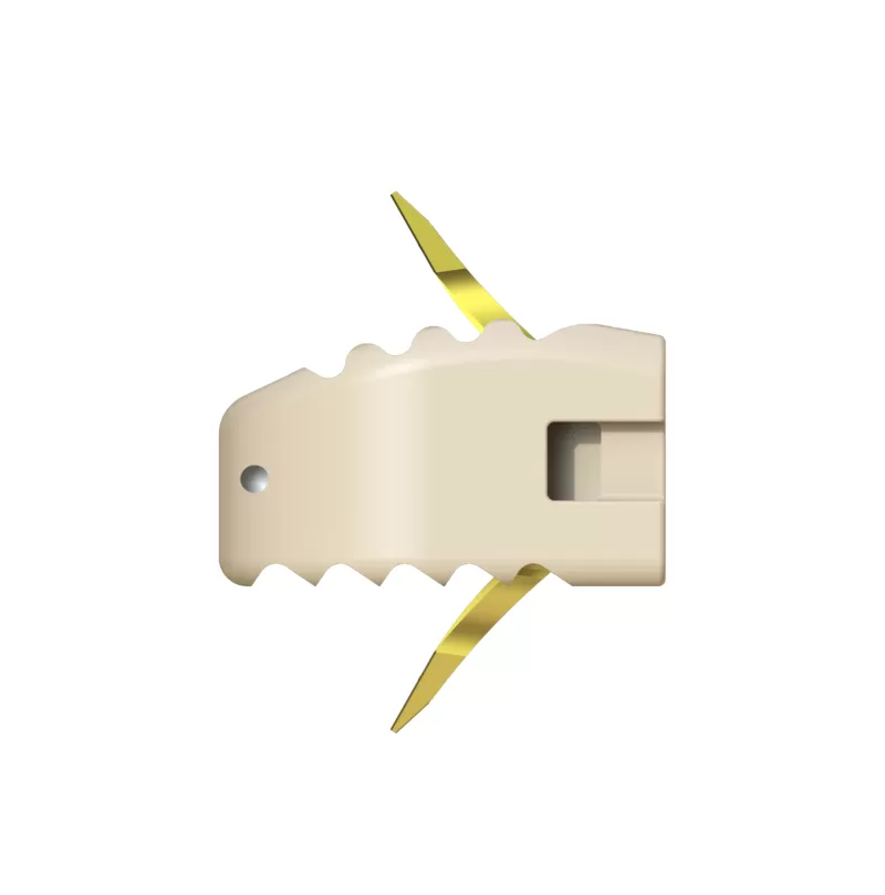 Cervical Interbody Fusion Cage Uni-C