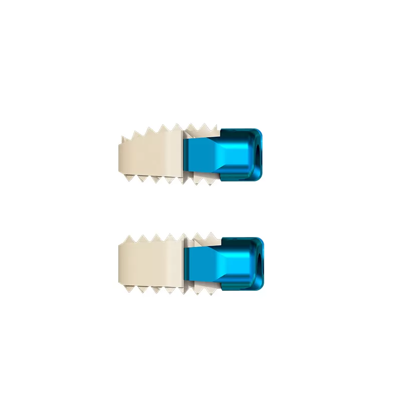 Cervical Interbody Fusion Cage (4 Screws)