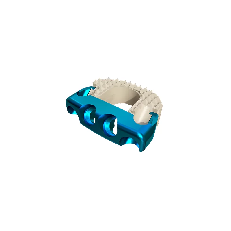 Cervical Interbody Fusion Cage (4 Screws)