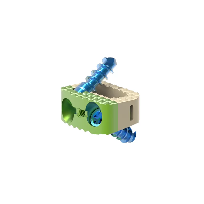 Cervical Interbody Fusion Cage (2 Screws)