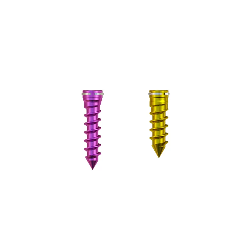Cervical Interbody Fusion Cage (2 Screws)