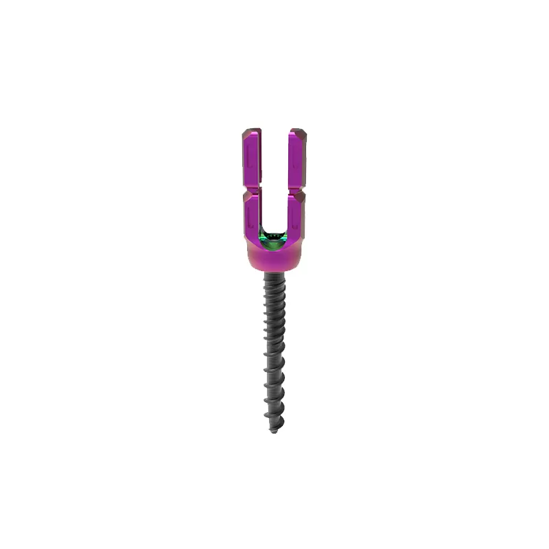 Reduction Polyaxial Screw (6.0 system)