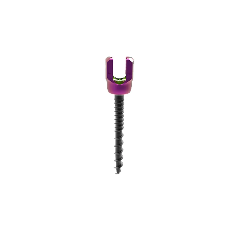 Set Screw (6.0 system)