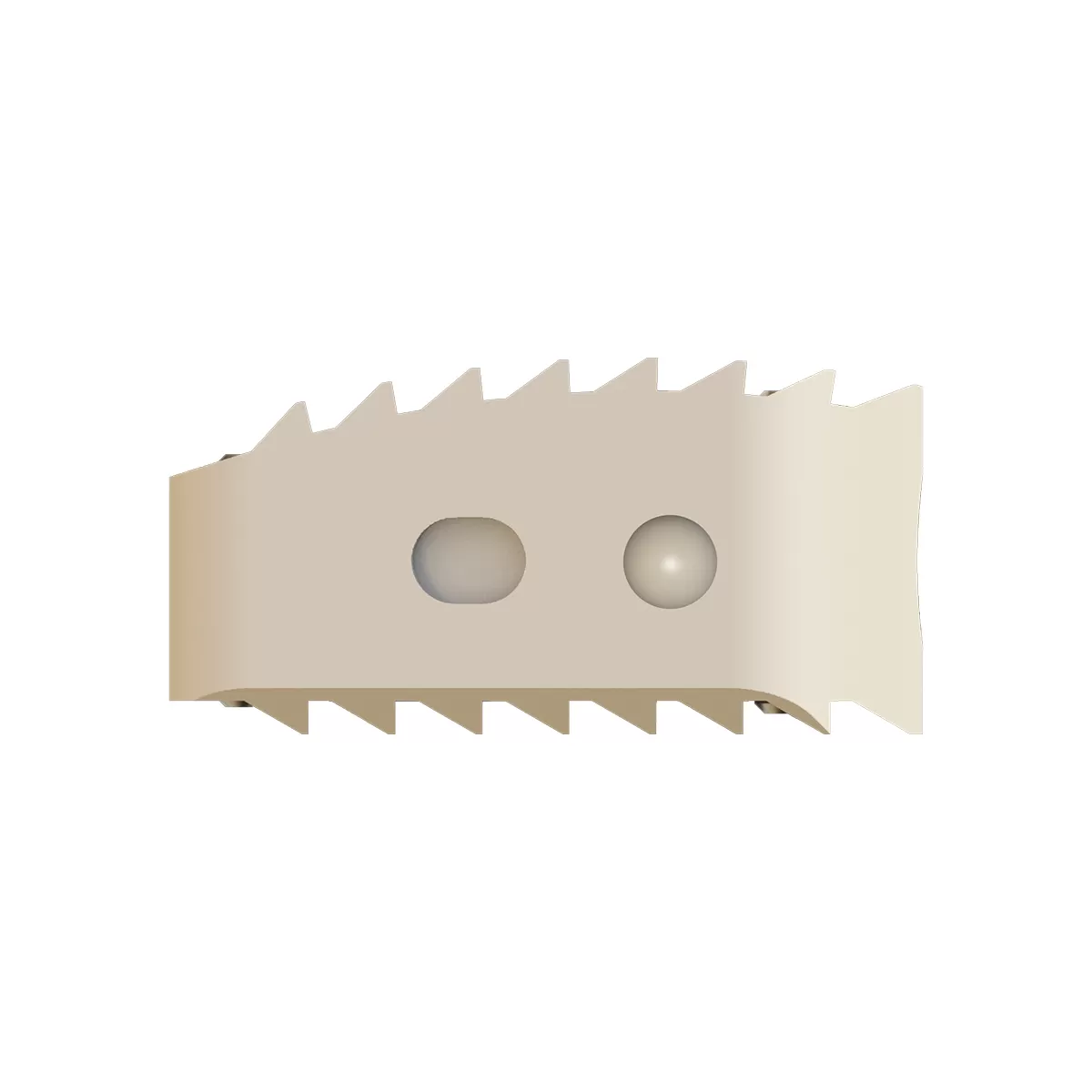 Bone Graft Inserter