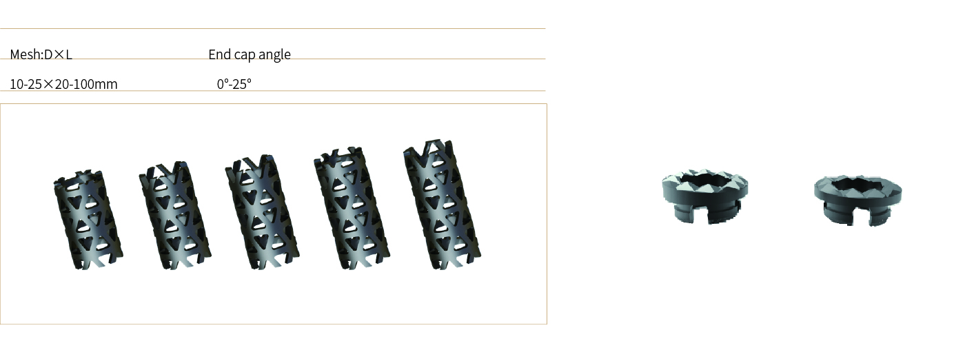 Titanium Mesh Cage