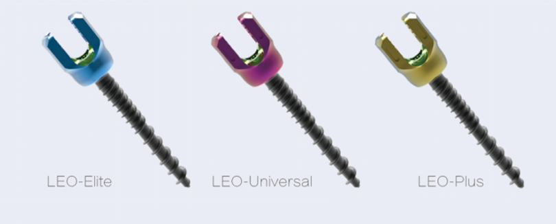 Decompression integrated screw Decompression integrated screw