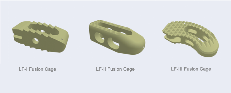 Lumbar Fusion Cage Lumbar Fusion Cage